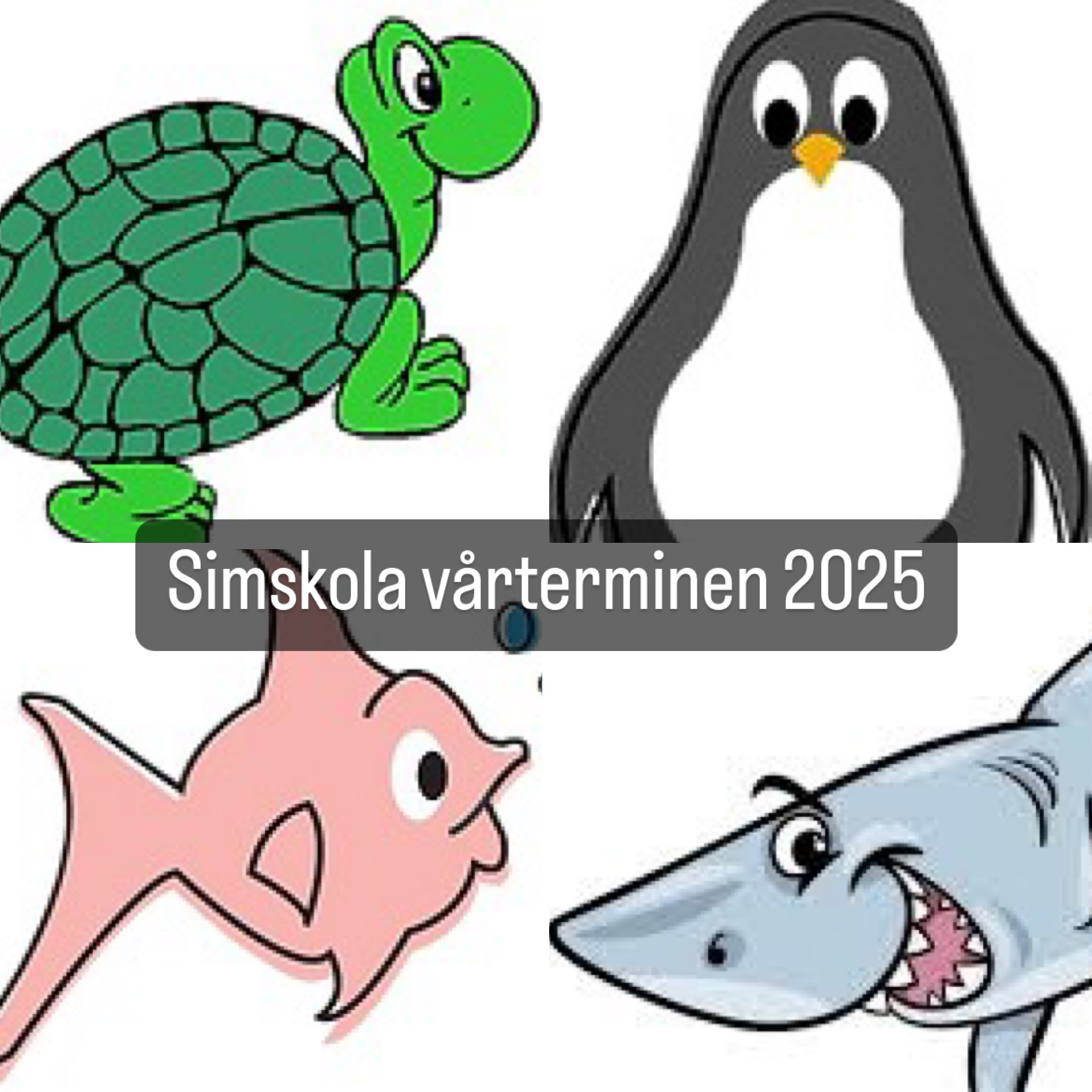 image: Simskolan vårterminen 2025