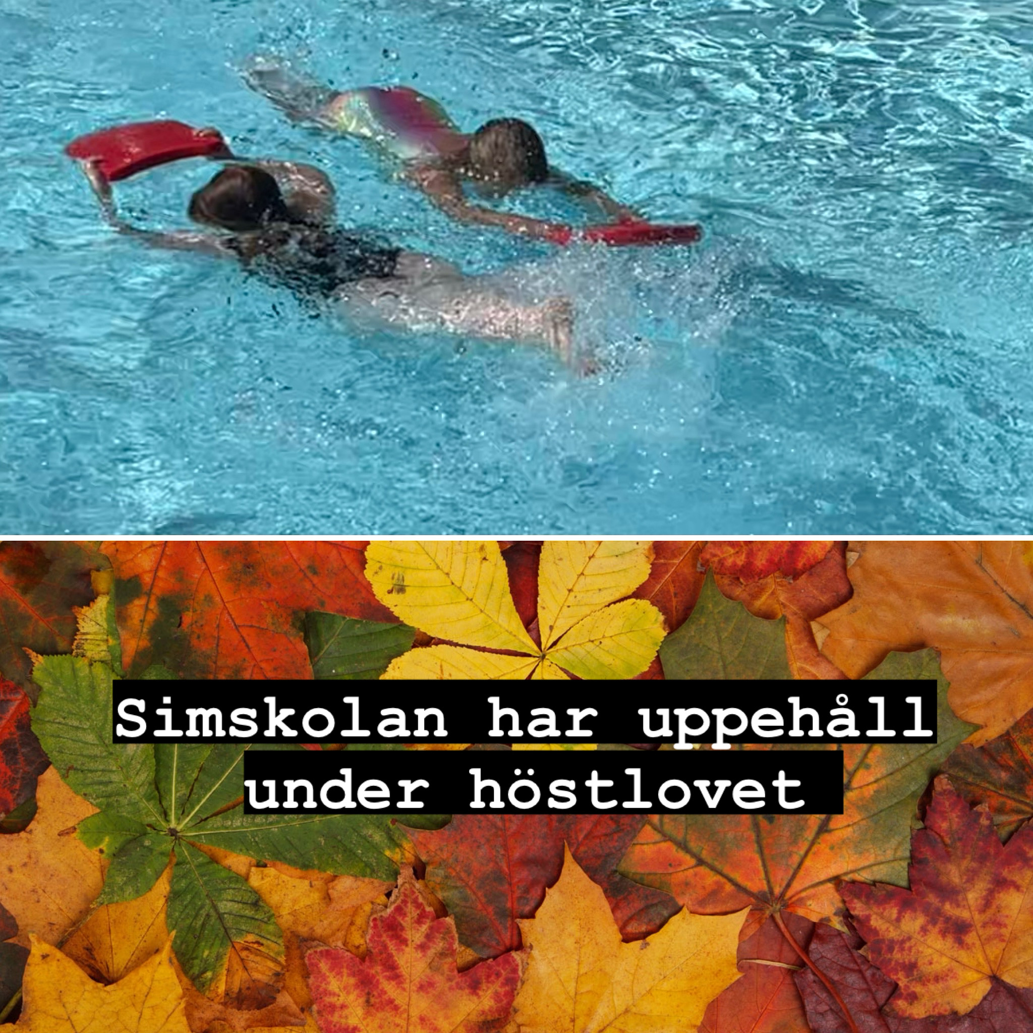 image: Uppehåll i simskolan under höstlovet